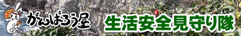 生活安全見守り隊